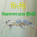 Chingri - চিংড়ি  - বিজ্ঞান সম্ APK