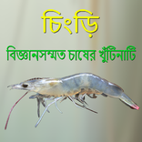 Chingri - চিংড়ি  - বিজ্ঞান সম্