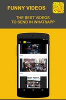 VibeTube Videos para Whatsapp ảnh chụp màn hình 2
