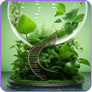 Nature Video Wallpaper APK