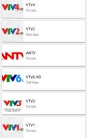 Việt Nam TV Affiche