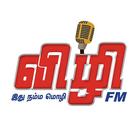 Vizhi Fm icône