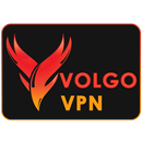 Volgo VPN APK