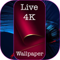 Surprise Full Live HD Wallpape