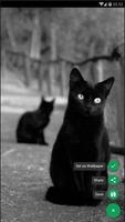 Black Cat Gothic Wallpapers capture d'écran 3