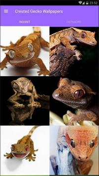 Crested Gecko Wallpapers Apk App Free Download For Android
