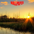 Everglades Park Wallpapers simgesi