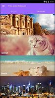 Petra Jordan Wallpapers اسکرین شاٹ 3