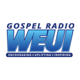 WEUI Radio ไอคอน