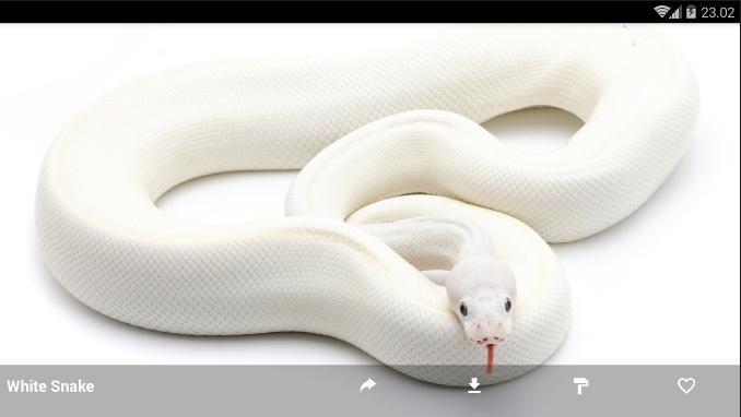 White Snake Wallpaper Hd For Android Apk Download - white snake roblox