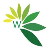 Wopno Greens -  Fresh Fruits & Vegetables
