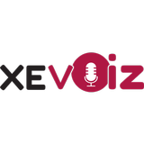 XeVoiz ikona