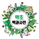 약초백과사전-증상부위별 검색