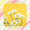 Yellow Aesthetic Wallpaper HD