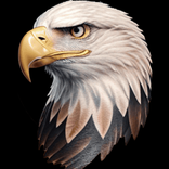 Eagle Tattoo Designs