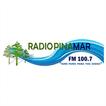 Radio Pinamar 100.7 icon