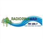 Radio Pinamar 100.7 图标