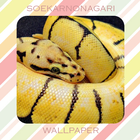 SNAKES Wallpaper HD icon