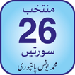 26 Surtein icono