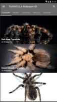 TARANTULA Wallpaper HD 海報