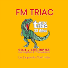 Fm Triac icône