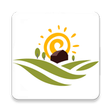 Coopérative Agricole Féminine Addoha