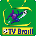 futebol brasileiro