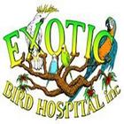 Exotic Bird Hospital Inc ikon