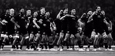 All Blacks Official