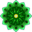 Anahata Kalp çakra