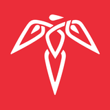 Anqa icon