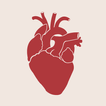 Icona ASK CARDIOLOGIST