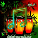 APK SALSA BRAVA RADIO