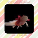 Axolotl Wallpaper HD APK