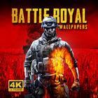 Battle Royal Gaming Wallpaper 4K icono