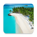 Best Beaches for 2019