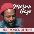 Songs of Marvin Gaye Offline