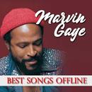 Songs of Marvin Gaye Offline APK