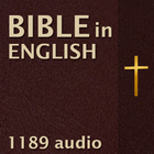 Bible In English icône