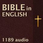 Bible In English icon