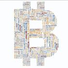 BITPAY 圖標