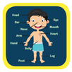 Body Parts APK