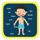 Body Parts APK