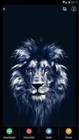 Black Lion Wallpaper HD plakat
