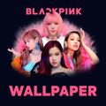 BlackPink Wallpapers 2025