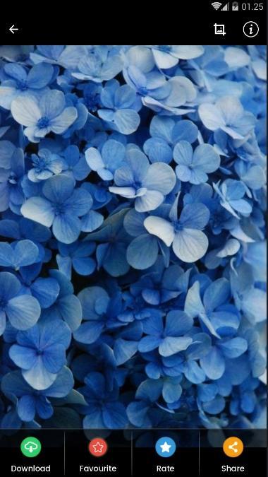 21 Wallpaper Biru Aesthetic Joen Wallpaper 21 Wallpaper Biru Aesthetic Joen Wallpaper
