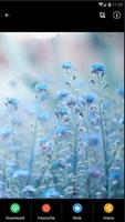برنامه‌نما Blue Flower Wallpaper عکس از صفحه