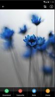 برنامه‌نما Blue Flower Wallpaper عکس از صفحه