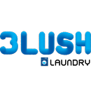 Blush Laundry aplikacja