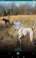Burke County's Bird Dog screenshot 2